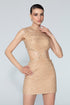 Stone Detailed Lace Mini Dress With Back Decollete